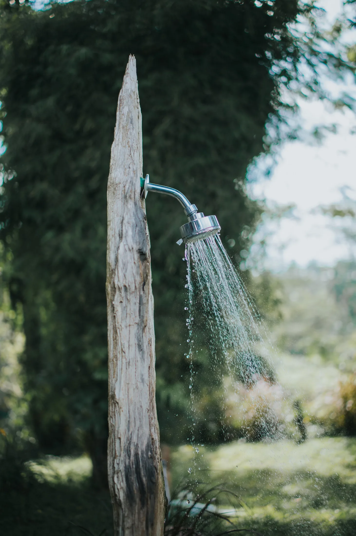 Outdoor shower fixed to a tree